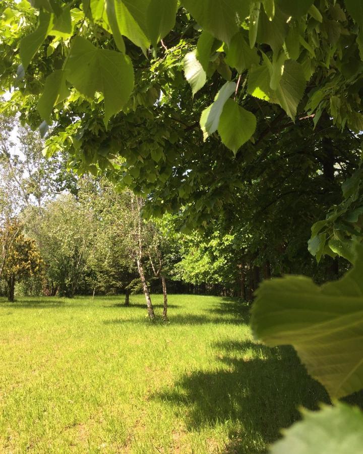 Happy Hill - Appartamento Bambu- Natura E Relax Santa Maria Rocca Εξωτερικό φωτογραφία