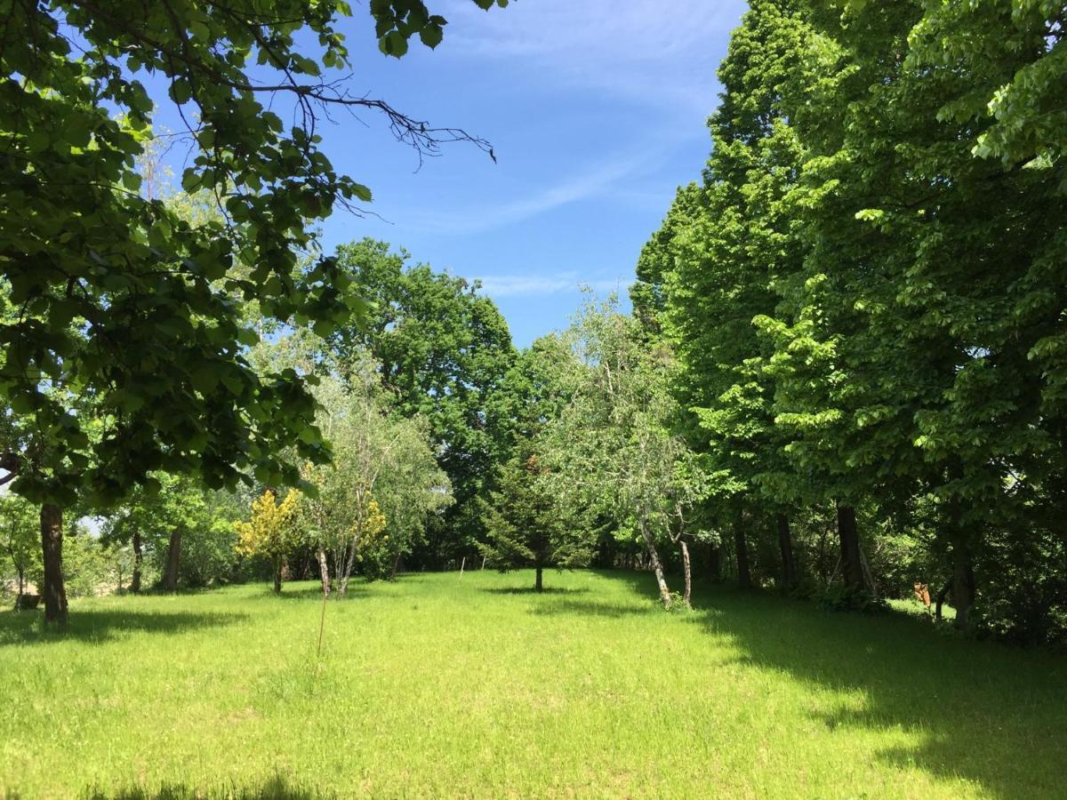 Happy Hill - Appartamento Bambu- Natura E Relax Santa Maria Rocca Εξωτερικό φωτογραφία